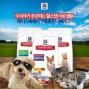 Healthy Cat 이미지