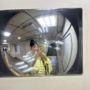 신미술관(휴관) 이미지