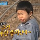 토마토청과