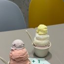 [마곡 맛집] 수제 젤라또 ‘아이스걸크림보이‘ 일주일 4번 먹은 내돈내산 후기(맛 추천)