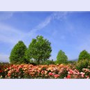 곡성-089 티스토리