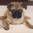 피카소 창의미술작가 이미지