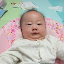 란희네