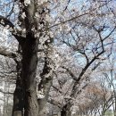 송정둑길 이미지