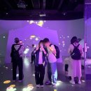 펭귄꼬마김밥 | 임산부 에버랜드 주말 오픈런 팬더랜드 주토피아 회전목마, 성수기 주말 주차 후기