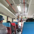 나혼자 제주도 여행 5일차 : 애월 카페거리, 고기국수, 담쟁이 카페