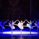 동화발레 잠자는 숲속의 미녀(서울시티발레단) 이미지