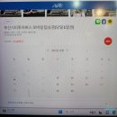 뚜벅이 부산여행 부산시티투어버스 레드라인 탑승후기 (부산항대교) (주의사항, 꿀팁)