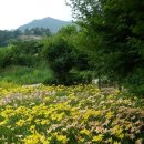 우란농장 이미지