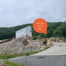 숲속의돌담 | 대구 근교 글램핑장 청도 돌담숲 대구 근교 캠프닉 자연 속 힐링 내돈내여행