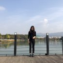 뽕 인형뽑기 이미지