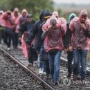 [뉴스] 이번 시리아 난민들 틈에 숨어 IS 대원 4천여명이 유럽 잠입에 성공 ㄷㄷ 이미지