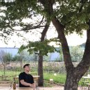 가평 플로레 사진찍기 좋은 곳에서 인생샷 건져온 후기.