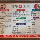 낙동생오리 이미지