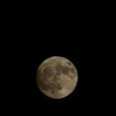 동막골 펜션 이미지