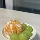 아띠언니 이미지