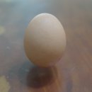 계란(鷄卵) 이야기 /일만성철용 이미지