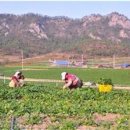 (주)신안아시아 이미지