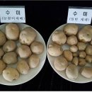 기장군농업기술센터 이미지