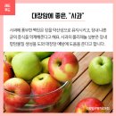 컬러푸드 이미지