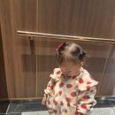 기철농장 | [경기도딸기체험] 연천 &#34;들꽃가람농장&#34; 딸기체험 다녀온 후기(20개월아기랑/내돈내산)