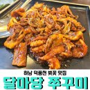 덕풍천서로 | 하남 벚꽃 덕풍천 행복벚길, 벚꽃 맛집 &lt;달마당 쭈꾸미&gt; 먹고 벚꽃길 걸으세요~