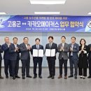 더널리 이미지