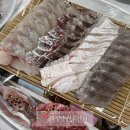 강진-50 | 전남 강진 맛집 인정 스키다시 미친 중앙수산회센터 모듬회 먹고 온 후기