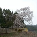 옥성농장 이미지