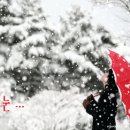 겨울노래 모음 -[24곡] 이미지