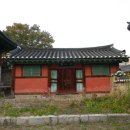 () 조선시대 교육의 중심지이자 은행나무 명소, 명륜동 성균관 늦가을 나들이 (문묘 은행나무, 대성전 은행나무) 이미지