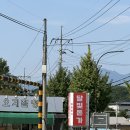 달빛청과