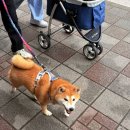 호텔퓰문(HOTEL FULL MOON) | 2026.01 다섯 남자의 술 냄새 가득한 대만 여행 #9. 마지막 목적지 우라이