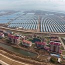 부흥농장 이미지