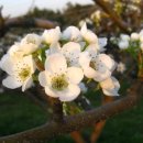 혁준농장 이미지