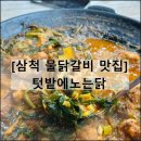 텃밭에노는닭 이미지