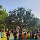 쓱쓱싹싹 그림책 콘서트 <생상스 할아버지의 선물> 이미지