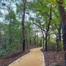 교동초 앞 삼거리 이미지