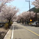 합천농협봉산지점 이미지