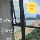 더팔레드시즈공인중개사사무소 | 팔레드시즈 오션뷰 매매