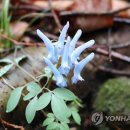 신현대자원