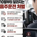10월부터 달라지는 음주운전 처벌 이미지