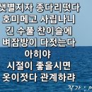 작가 : 미상 이미지