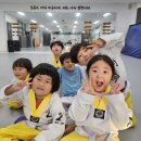 오즈태권도2관 이미지