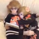 바디채널 삼계점 이미지