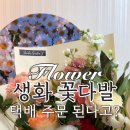 야곱의정원 이미지
