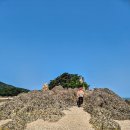 소야보건진료소 | [덕적도/소야도] 모세의 기적으로 유명한 ‘소야도 바다갈라짐’ 바닷길 트레킹!