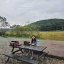 안면도 장터마트 | 태안 캠핑장 개별화장실 샤워실 깔끔 가성비 안면도힐링캠핑장