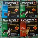 메디팜고성왕약국 이미지