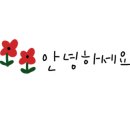 정코다리월드컵점 이미지